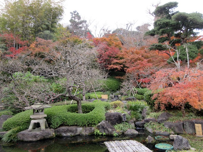 【鎌倉・長谷】長谷寺の今日の紅葉2017_b0009849_15402082.jpg
