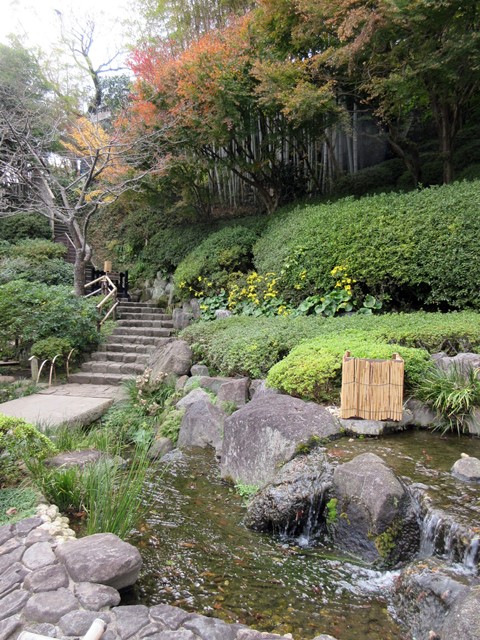 【鎌倉・長谷】長谷寺の今日の紅葉2017_b0009849_15443088.jpg