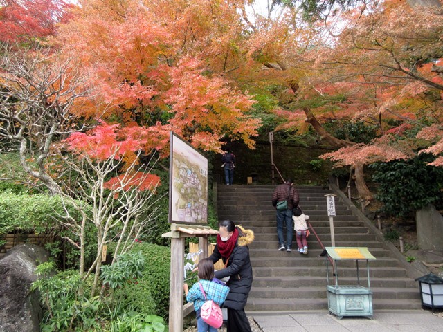 【鎌倉・長谷】長谷寺の今日の紅葉2017_b0009849_15463016.jpg