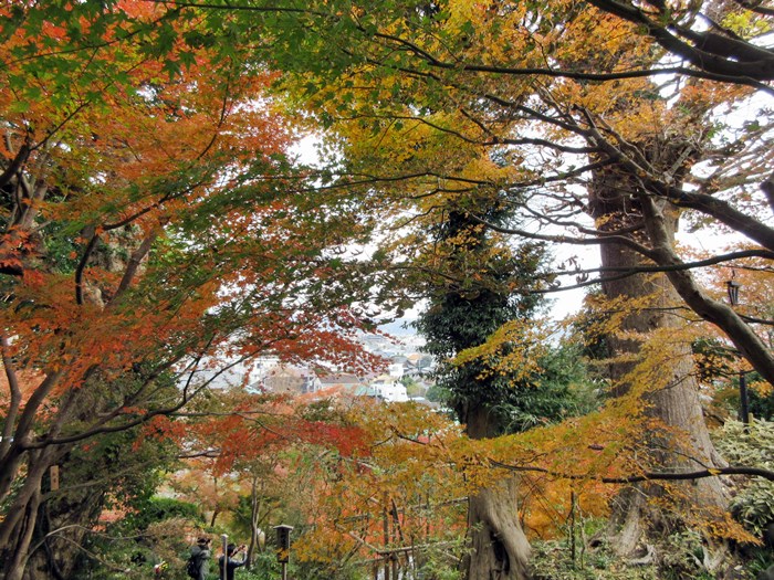 【鎌倉・長谷】長谷寺の今日の紅葉2017_b0009849_15513778.jpg