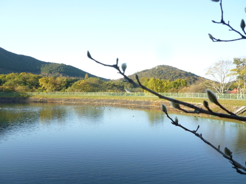 c0349149_21412937.jpg