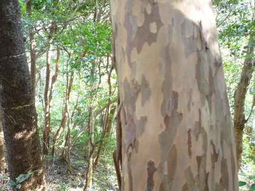 c0349149_21455065.jpg