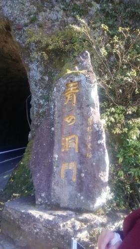 勤労感謝の日_e0352849_10430165.jpg