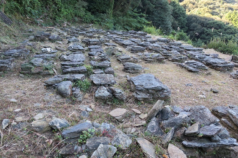 f0202151_20490212.jpg
