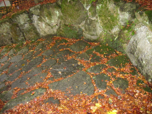b0243152_12452289.jpg
