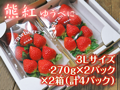 熊本イチゴ『熊紅(ゆうべに)』大好評販売中！大人気の3Lサイズに続き2Lサイズの販売もスタートしました！_a0254656_17202097.jpg