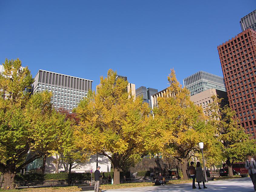 e0129656_23004910.jpg