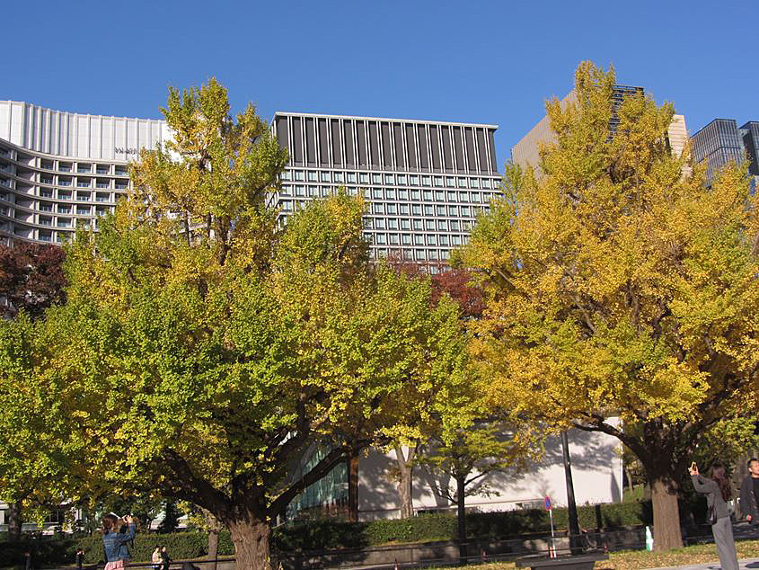 e0129656_23014572.jpg