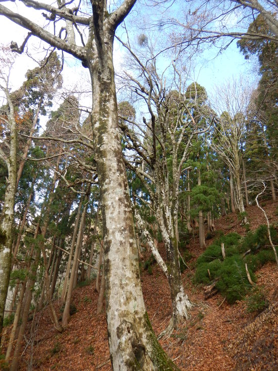 d0231858_14585616.jpg