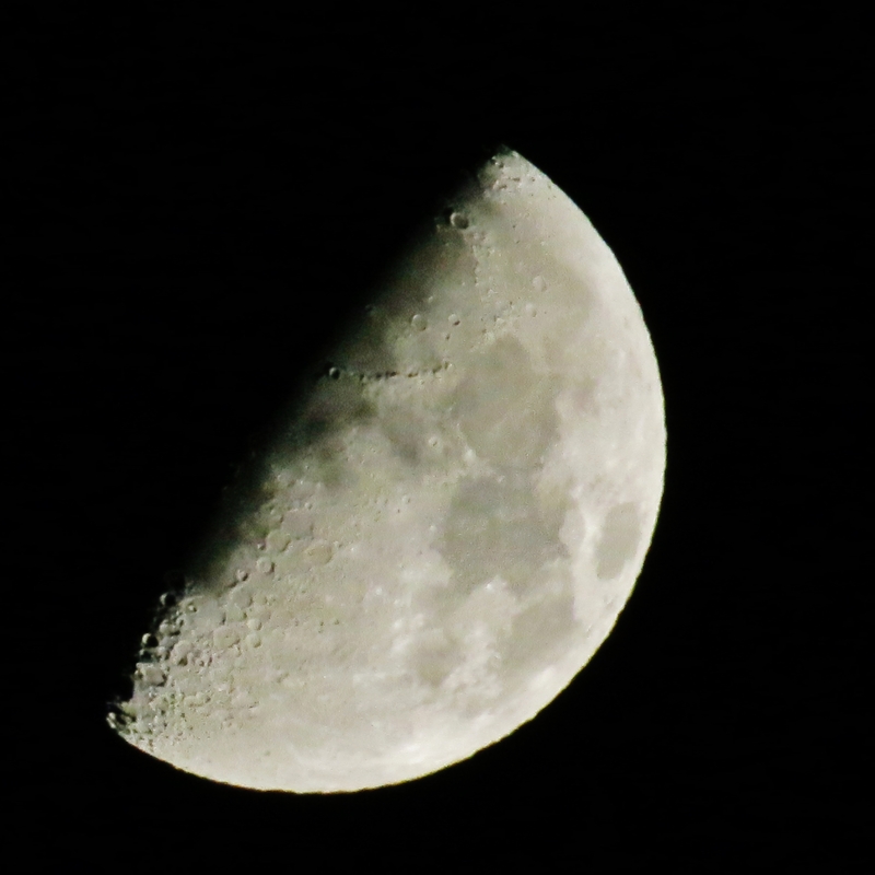c0183777_11545377.jpg