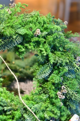 a0252678_08403727.jpg