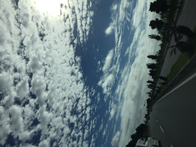 b0176278_23201743.jpg