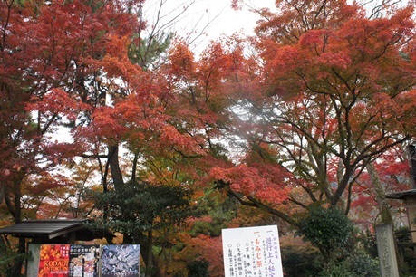 c0163878_09572390.jpg