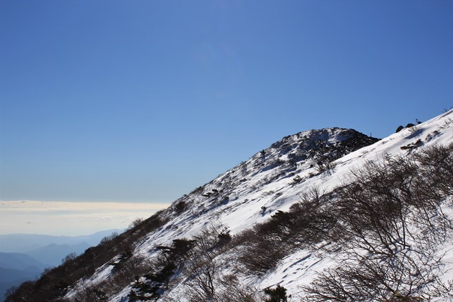 e0369182_20460630.jpg