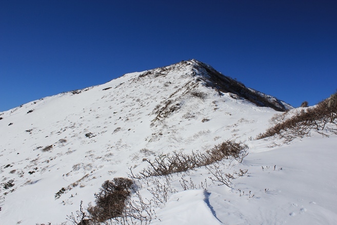 e0369182_20494040.jpg