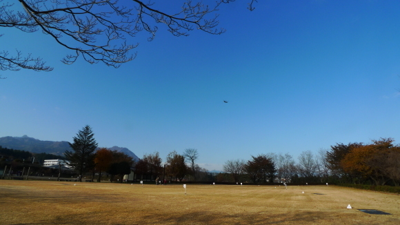 c0212083_17273908.jpg