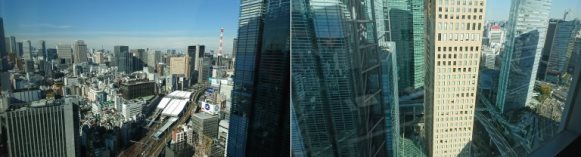 花山椒 汐留 だるまさんが転んだ