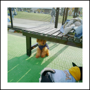 d0357086_18531772.jpg