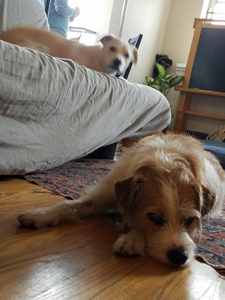 c0253487_04374057.jpeg