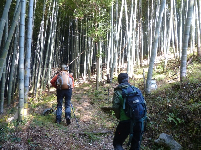 一筋縄ではいかない里山、甲佐岳_f0357487_21352423.jpg