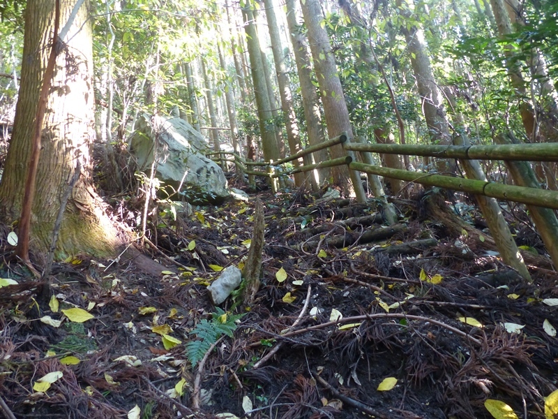 一筋縄ではいかない里山、甲佐岳_f0357487_21355960.jpg