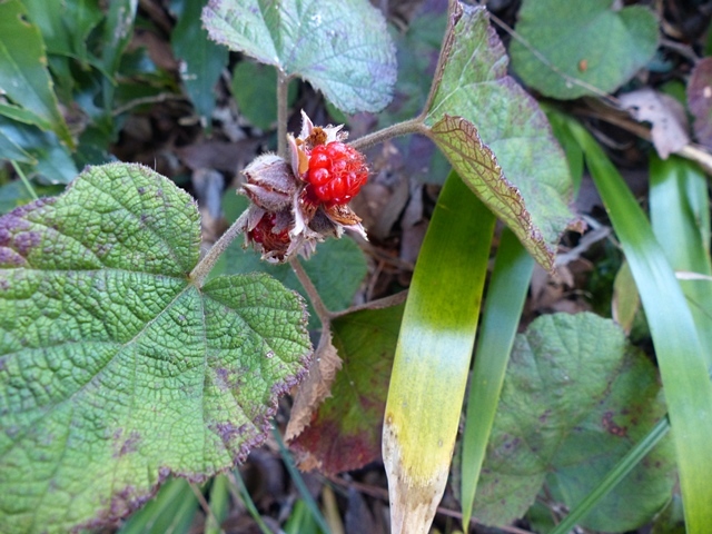f0357487_22201322.jpg
