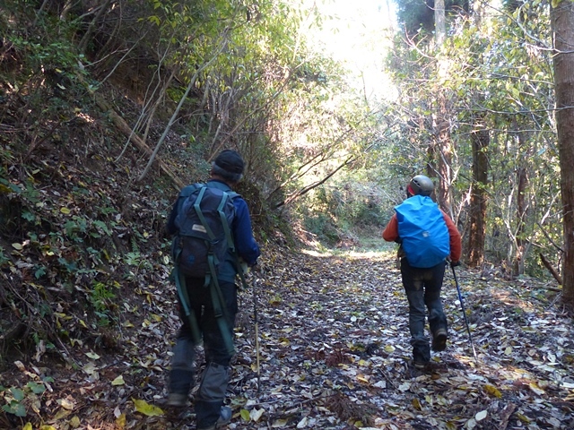 一筋縄ではいかない里山、甲佐岳_f0357487_22515519.jpg