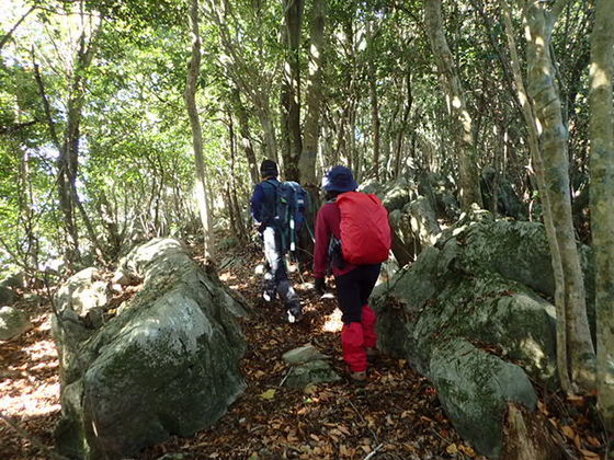 一筋縄ではいかない里山、甲佐岳_f0357487_23040224.jpeg