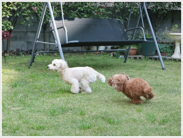 b0175688_09272398.gif