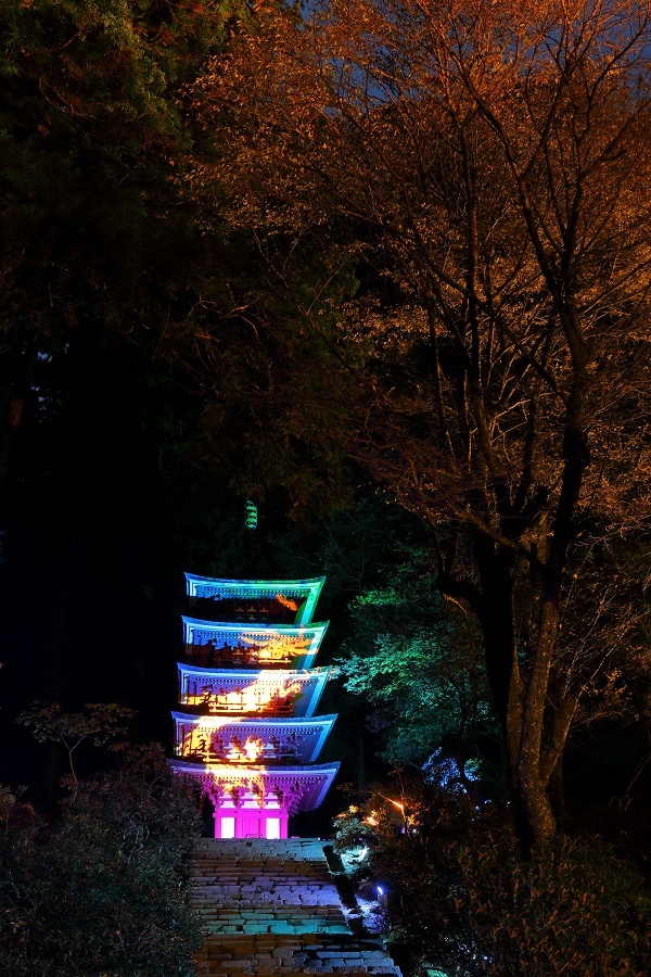 室生寺　紅葉ライトアップ2017_c0344488_23010586.jpg