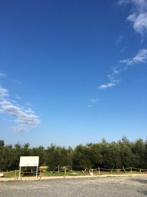 d0360391_20572267.jpg