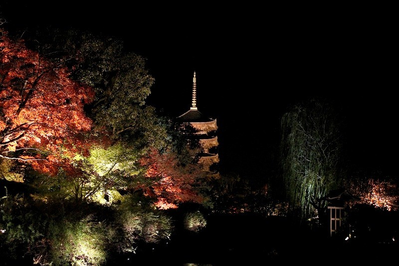 f0374092_17452073.jpg
