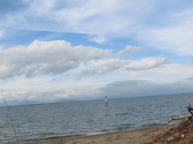 a0319693_7395240.jpg