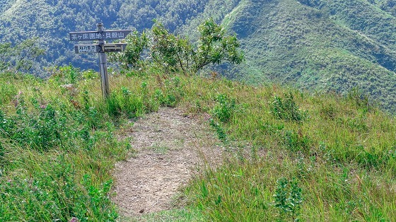 e0176993_07414522.jpg