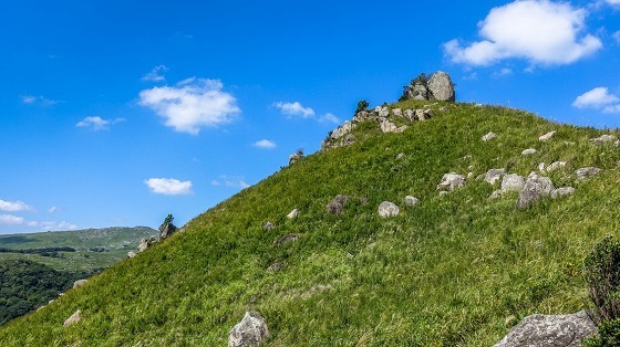 e0176993_07414528.jpg