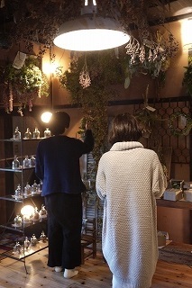 明日(11/29(水))最終日!フボーと植物展 白6 at hakutoya_f0226293_10183960.jpg