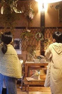明日(11/29(水))最終日!フボーと植物展 白6 at hakutoya_f0226293_10185368.jpg