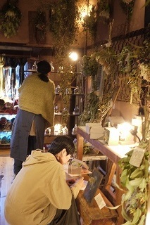 明日(11/29(水))最終日!フボーと植物展 白6 at hakutoya_f0226293_10190013.jpg