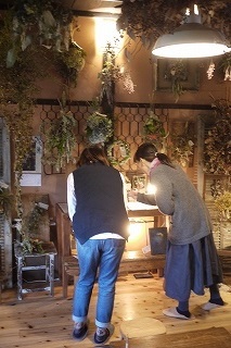 明日(11/29(水))最終日!フボーと植物展 白6 at hakutoya_f0226293_10203444.jpg