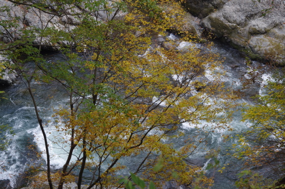b0356401_21283612.jpg