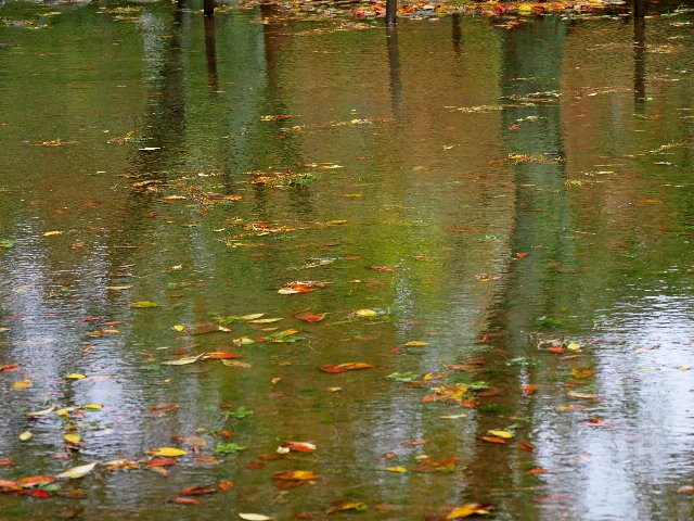 c0008502_1037313.jpg