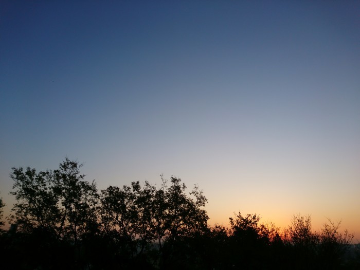 c0368903_06583538.jpg