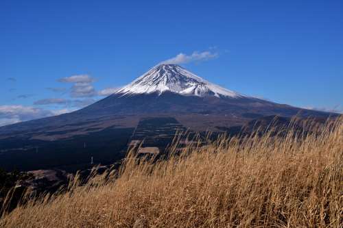 好天の晩秋、富士山の絶好の展望台に登る～2017年11月 愛鷹山越前岳_d0372906_21530163.jpg