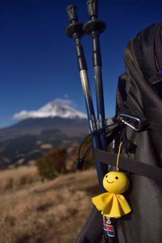 好天の晩秋、富士山の絶好の展望台に登る～2017年11月 愛鷹山越前岳_d0372906_21591159.jpg