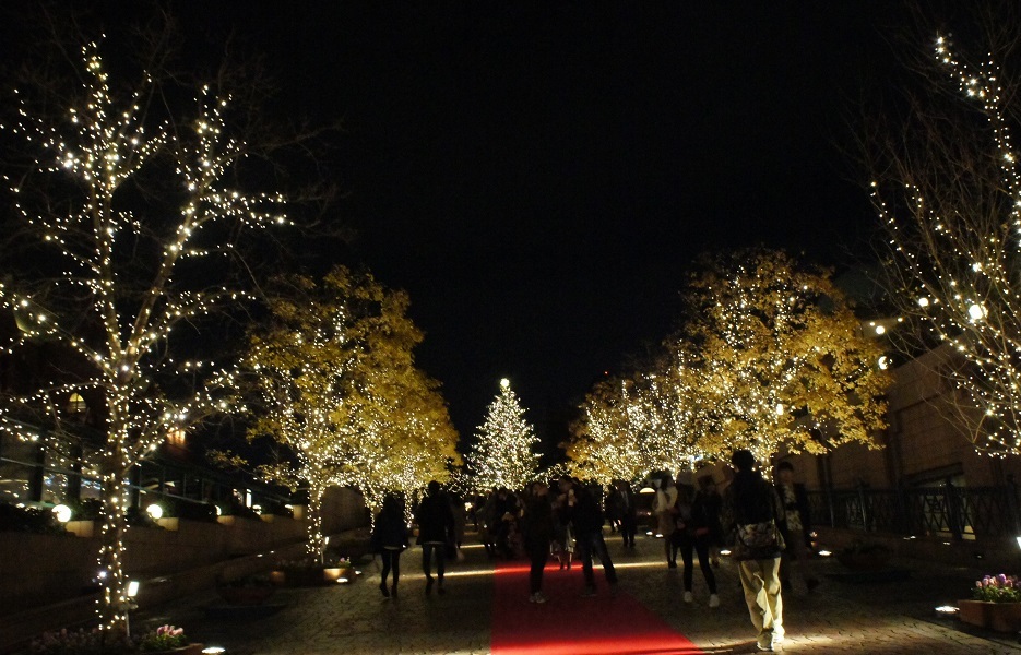 b0112909_20231067.jpg