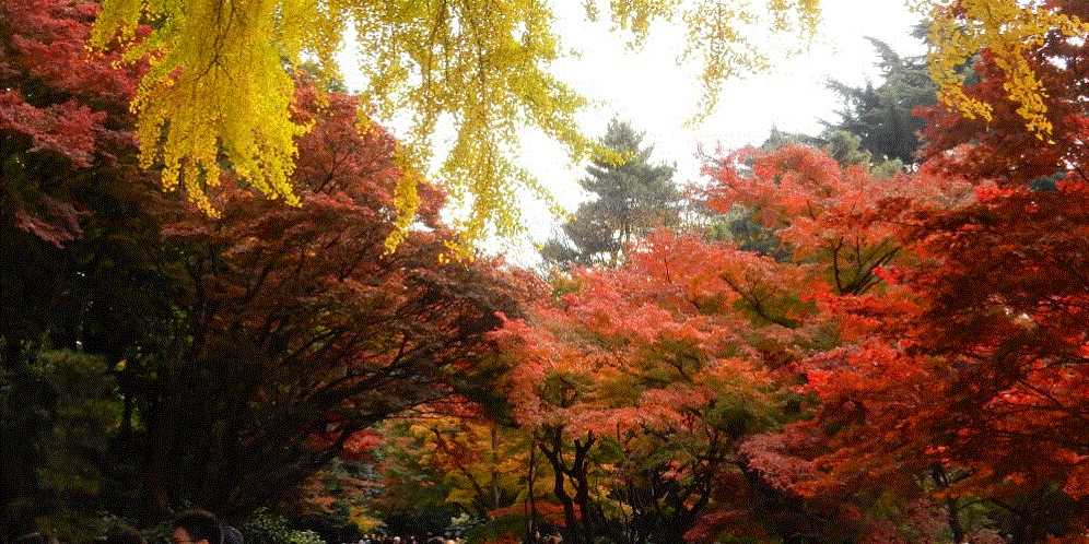 f0231709_00181209.gif