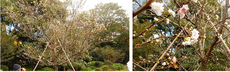 f0231709_00440227.gif