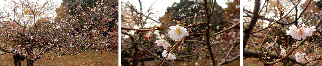 f0231709_00443202.gif