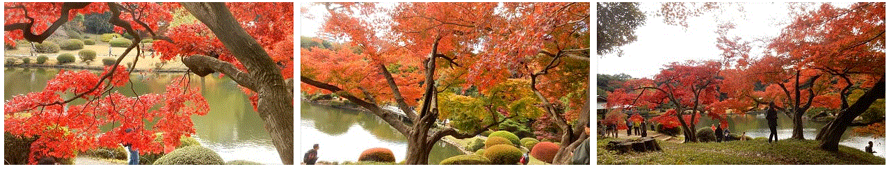 f0231709_00453367.gif