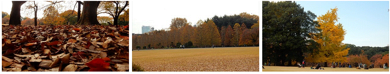 f0231709_00463297.gif
